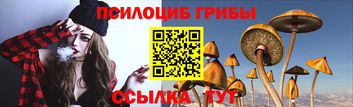 Псилоцибиновые грибы мухоморы Благодарный
